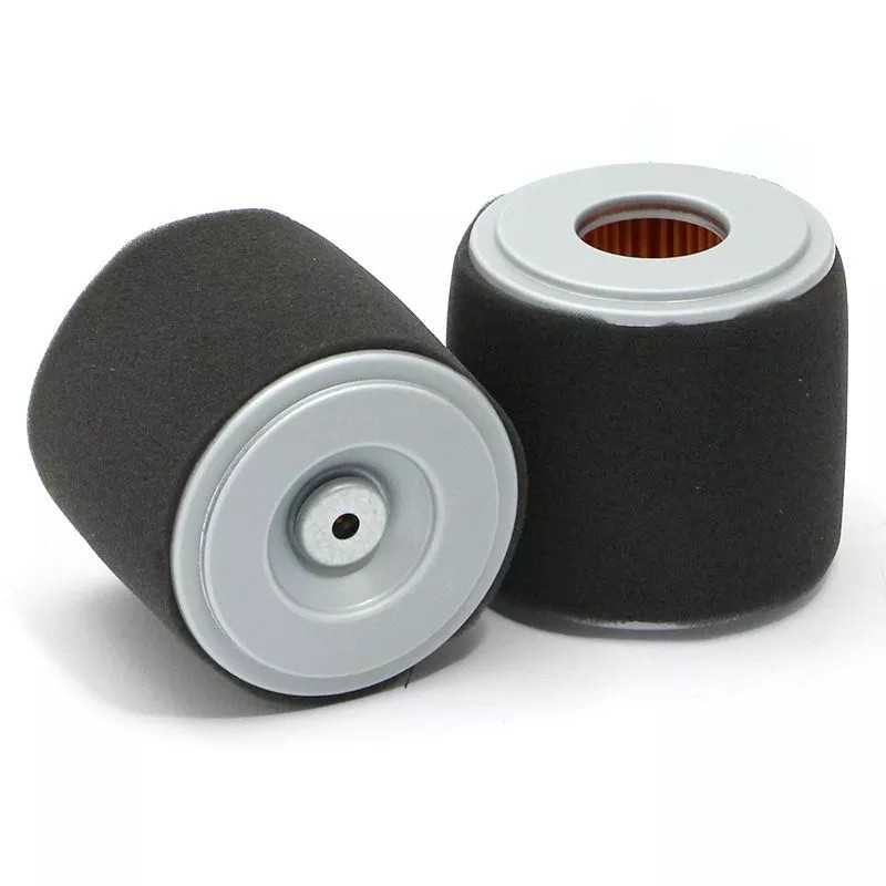 SL87024 SF filtro oro filtras