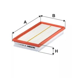 AP 022/9 FILTRON oro filtras