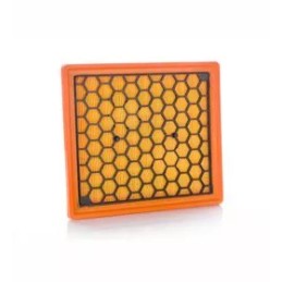 WA59434 PZL Sędziszów oro filtras