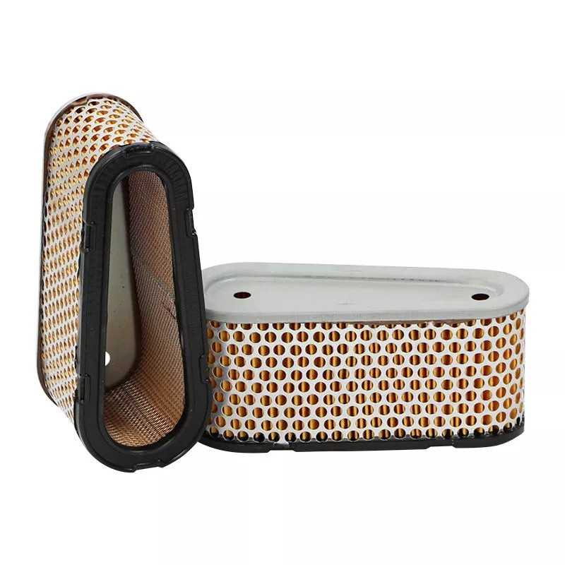 SL1917 SF filtro oro filtras