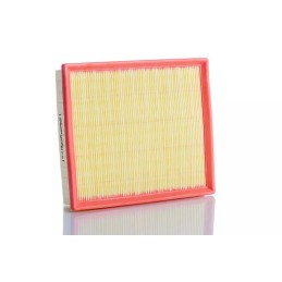 WA59461 PZL SĘDZISZÓW Oro filtras