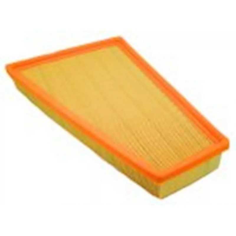 PA76211 SF filtro oro filtras