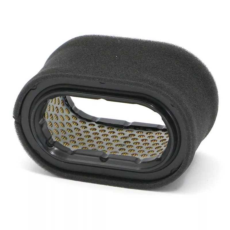 SL8120/1 SF filtro oro filtras