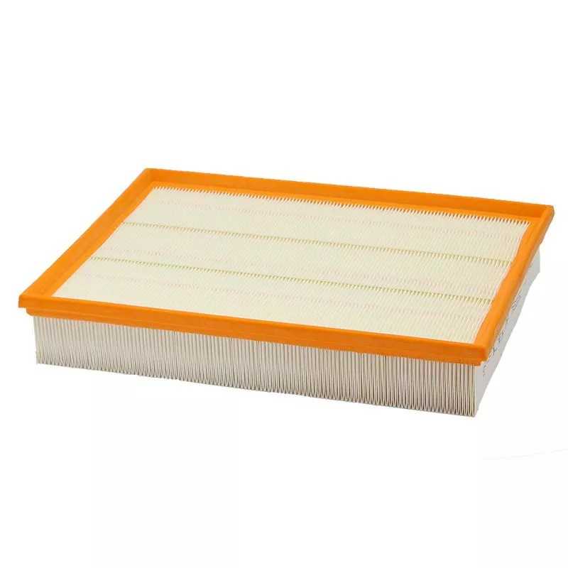 PA76251 SF filtro oro filtras