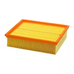 PA76129 SF filtro oro filtras
