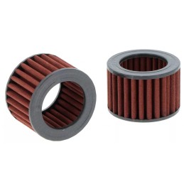 SA12565 Hifi filtro oro filtras SA 12565
