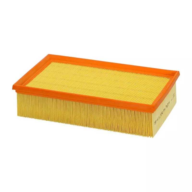 PA76274 SF filtro oro filtras