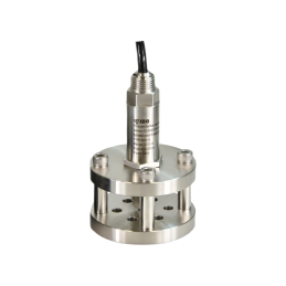 SDS-10 hidrostatinis zondas