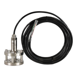 SDS-10 hidrostatinis zondas