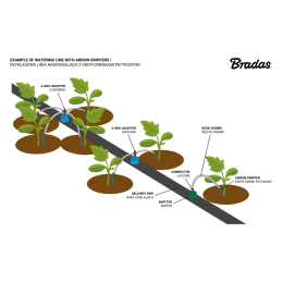 Rinkinys su PCND 2L lašintuvu, 50 cm PE vamzdeliu ir lazdeliniu lašintuvu -DSE-PCND0232-50