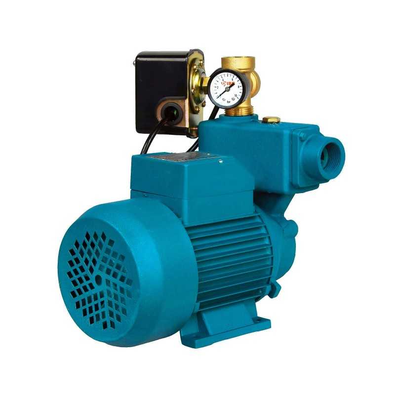 WAK 750 (0,75 kW, 230 V) hidroforinis siurblys su priedais