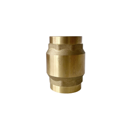 Atbulinis vožtuvas 1 "