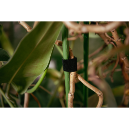 Daugiafunkcinė lipni juosta ROLL T 12,5 mm x 2 m -TYHLT12502/BK