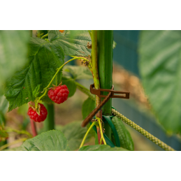 Atkabinami augalų raišteliai 170/5,4 mm - rudi -TYT54170BR/50