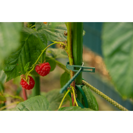 Atlaisvinami augalų raišteliai 170/5,4 mm - žali -TYT54170GR/50