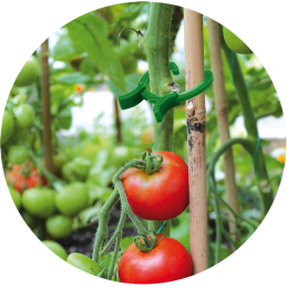 Augalų spaustukai - 3 dydžiai -TYK19.