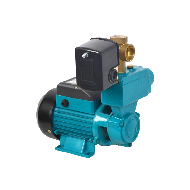 WAK 250 (0,25 kW, 230 V) hidroforinis siurblys su priedais