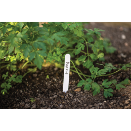 Augalo etiketė 15x1,5 cm -TYE1515