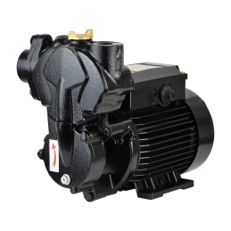 IPML 25-125 (0,125 kW, 230 V) cirkuliacinis siurblys