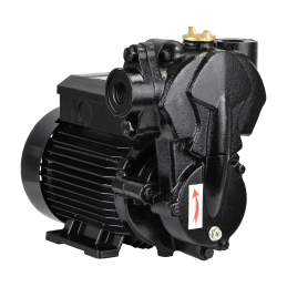 IPML 25-125 (0,125 kW, 230 V) cirkuliacinis siurblys