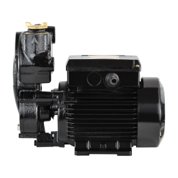 IPML 25-125 (0,125 kW, 230 V) cirkuliacinis siurblys