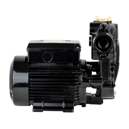 IPML 25-125 (0,125 kW, 230 V) cirkuliacinis siurblys