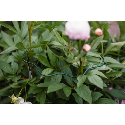 Banguotas žiedinis augalų laikiklis, 1/2 apskritimo, skersmuo 30 cm / aukštis 55 cm -TYRP4F3055