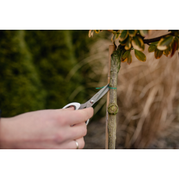 PRECISION 130 mm universalios žirklės -DIY-SCWL208/130-B