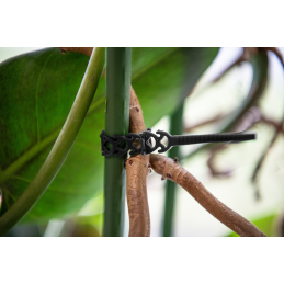 Atlaisvinama elastinė juosta augalams tvirtinti 10 x 300 mm -TYT10300B/20