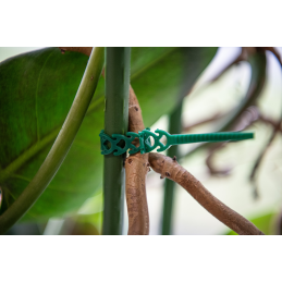 Atlaisvinama elastinė juosta augalams tvirtinti 10 x 300 mm -TYT10300GR/20