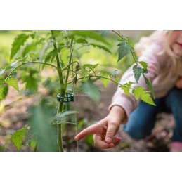 Augalų spaustukai 22 mm -TYK022GR/100