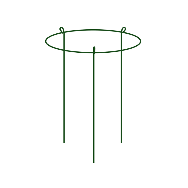 Žiedinė augalų atrama, 35 cm skersmens / 60 cm aukščio -TYRP13560