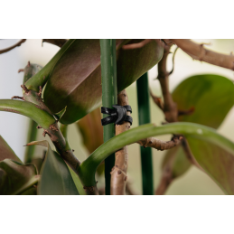 GUMINIAI INKARAI Guminiai augalų tvirtinimo inkarai TIE 70/4mm EPDM - 50 vnt. -TYG20704/50