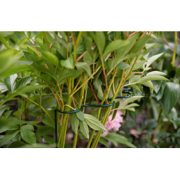 Banguotas žiedinis augalų laikiklis, 1/2 apskritimo, skersmuo 40 cm / aukštis 100 cm -TYRP4F40100