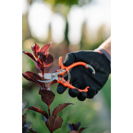 V-SERIES-D genėjimo žirklės, praeinantys ašmenys, nerūdijantis plienas -KT-V1011