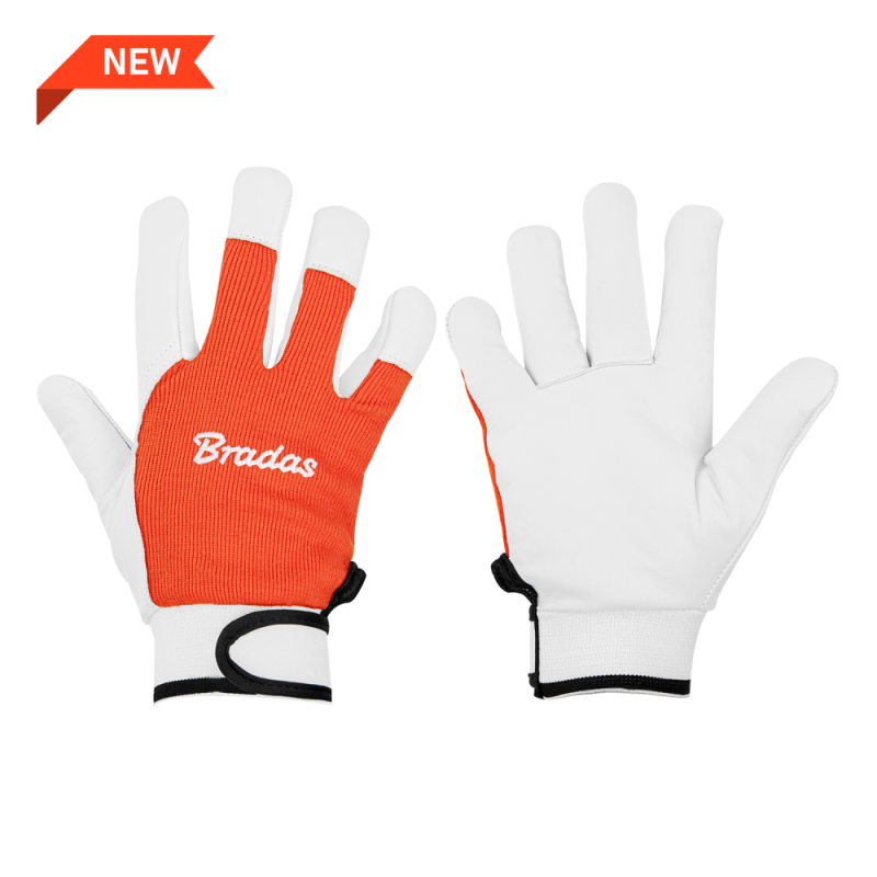 WHITEBIRD CORE odinės apsauginės pirštinės, blisteryje, 9 dydis -RWWBC9