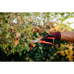 V serijos genėjimo žirklės su praeinančiu peiliu -KT-V3