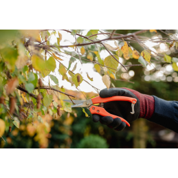 V serijos genėtuvas su tiesiu ašmeniu -KT-V3P