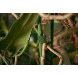 Daugiafunkcinė lipni juosta ROLL T 19 mm x 5 m -TYHLT19005/GR