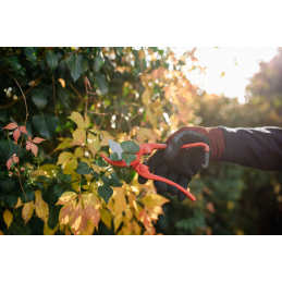 Genėjimo žirklės PROFI 8" ANGLINIS PLIENAS -KT-RG1027/8