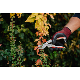 V serijos genėjimo žirklės su praeinančiu peiliu -KT-V5