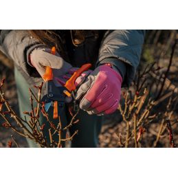 V-SERIES-D daugiafunkcis DAUGIAFUNKCIS genėtuvas, SK2 plienas -KT-V1