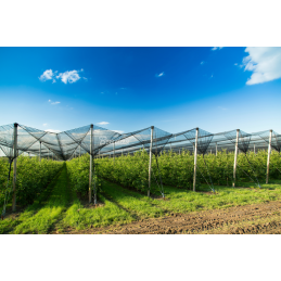 Austas apsauginis paukščių tinklas DIAMOND 20g/m2 -AS-BN20151502020