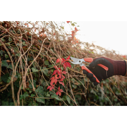 V serijos genėjimo žirklės su praeinančiu peiliu -KT-V6