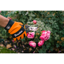 V-SERIJOS-D genėtuvas, slenkantis peilis, SK5 plienas -KT-V1035