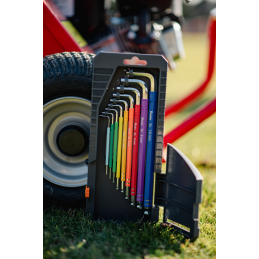 Šešiakampių raktų su rutuliniu antgaliu rinkinys HX 1,5-10 mm, 9 vnt. -DIY-HKB62-EL/BOX