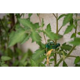 Augalų spaustukai 22 mm -TYK022GR/500