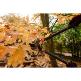 V-SERIJOS-D teleskopinis šakų genėtuvas, einantis peilis -KT-V1210