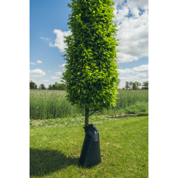 85 litrų PE medžių laistymo maišas -KTTZ75/50