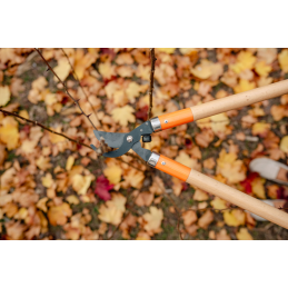 V SERIJOS MEDIENOS SODININKYSTĖS ŠAKŲ GRENTUOKLIS -KT-V1215